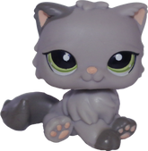 #1159 Persian Cat